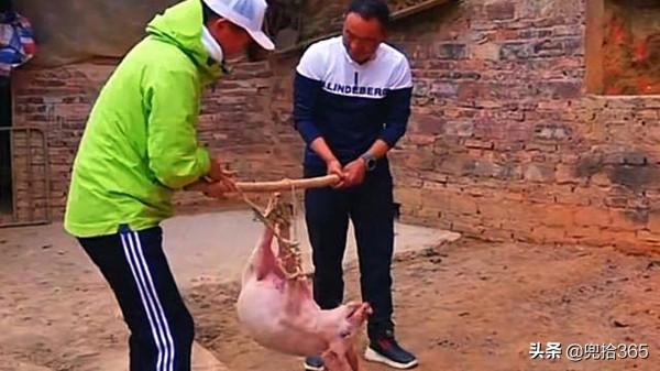 釣王鄧剛在廣東盤黑坑，塘主瞧不起被打臉，不要魚獲抬回了一頭豬