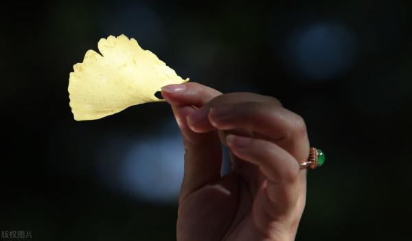 老子告訴我們要如何獲得幸福,只要多看看幸福的人就好了? 老子告訴我們要如何獲得幸福,只要多看看幸福的人就好了?