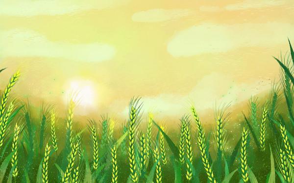 拾荒的老母親買車買房，養活了一家人，了不得