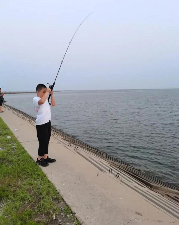 「釣友投稿」除沙蠶外，還有沒有方便的餌料