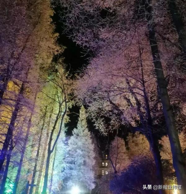 雪柳綻銀菊 玉樹煮瓊花—雞公山寫給冬天的詩