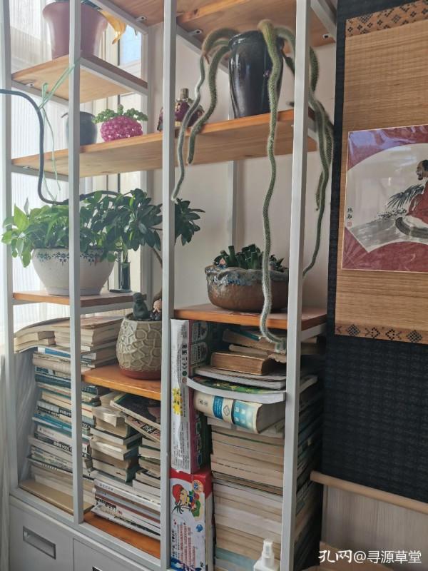 別人家的書房，整齊而雅緻，自己家的書架卻只能見縫插針