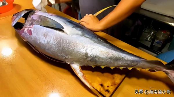 金槍魚你吃過嗎？海南魚小哥給您介紹