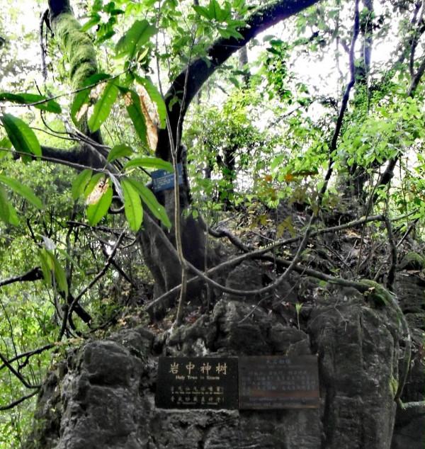 天景山仙人橋景區:有“天上美景,人間仙境”之美譽 天景山仙人橋景區:有“天上美景,人間仙境”之美譽