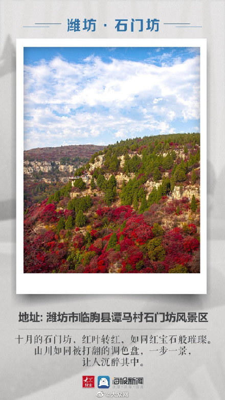 山東這些絕美賞紅葉地不要錯過 山東這些絕美賞紅葉地不要錯過