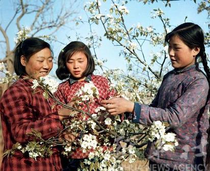 泰安肥城縣六七十年代老照片