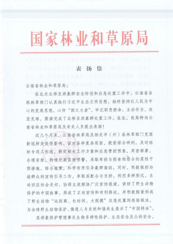 感謝、表揚！雲南“護象隊”被國家林草局點讚了