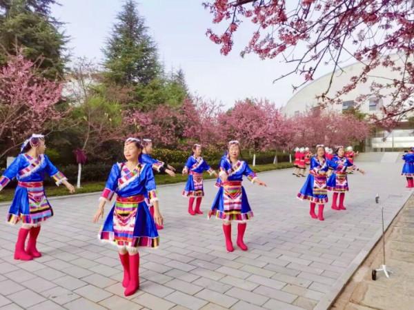 週末又添好去處！白石江公園冬櫻花美醉你