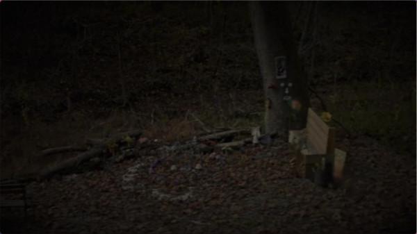 美國女孩9年前失蹤疑案:塑膠花三姐妹,隱藏在娃娃臉下的罪惡 美國女孩9年前失蹤疑案:塑膠花三姐妹,隱藏在娃娃臉下的罪惡