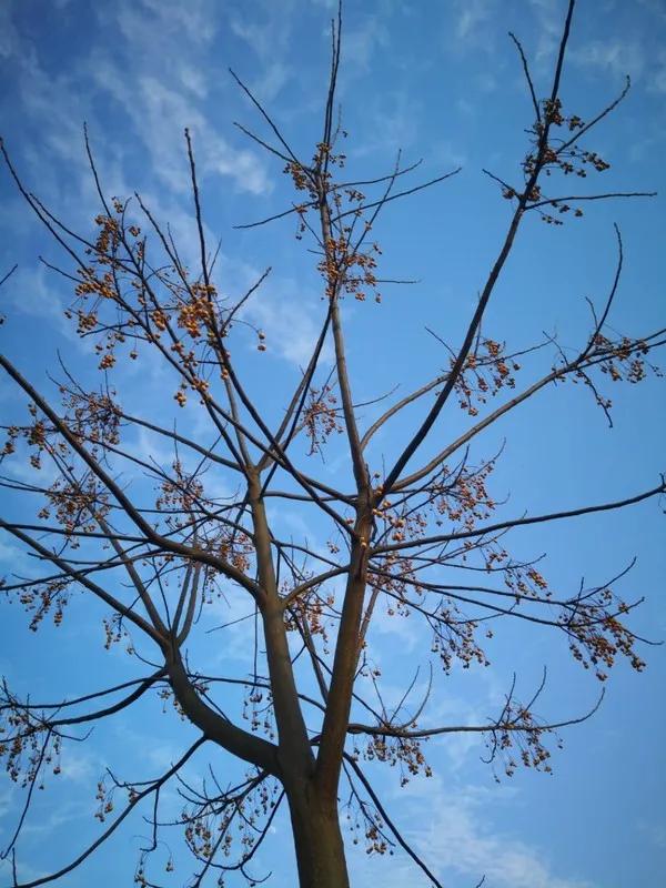 親人離去,應該逐漸淡忘還是常掛念? 親人離去,應該逐漸淡忘還是常掛念?