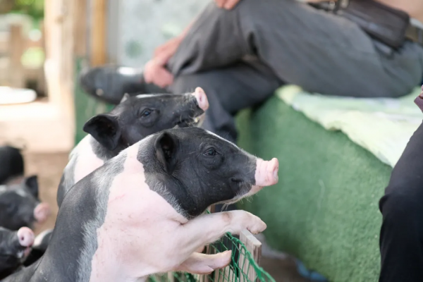 好吃,好玩,好看!京郊避暑勝地居然還有這麼有趣的地方! 好吃,好玩,好看!京郊避暑勝地居然還有這麼有趣的地方!