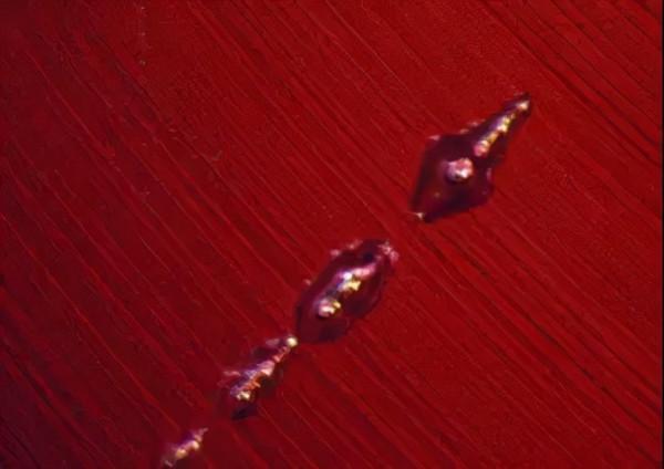 寶知道｜寶石原來也有“指紋”