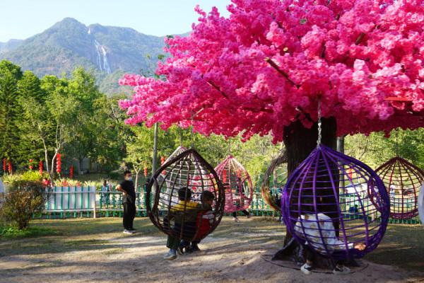 寒假遛娃去哪耍？白水仙瀑帶你玩出新花樣