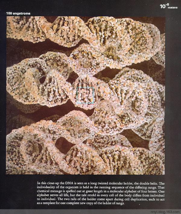 用幾張圖看透世界,震撼心靈,感悟人生 用幾張圖看透世界,震撼心靈,感悟人生