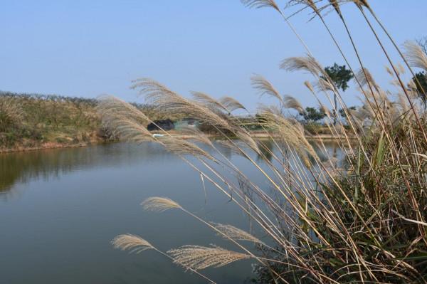 半野釣——山頂的魚塘