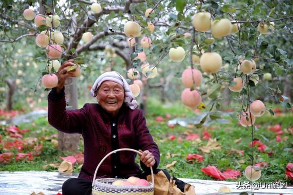 今日秋分 | 豐收的季節來了，金色田野惹人醉