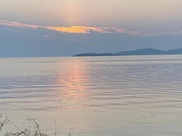 東山小憩，拾隅為家