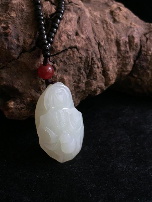 昆蟲之王——蜘蛛 昆蟲之王——蜘蛛