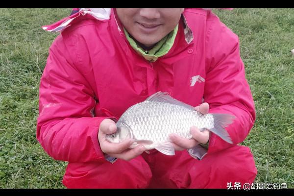 64個大板鯽之三千字帶你深度還原冬季尋鯽之旅