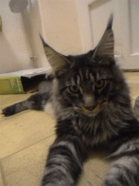 美國50個州的吃喝玩樂攻略請收好！留學生、遊客自駕遊跟團遊必看