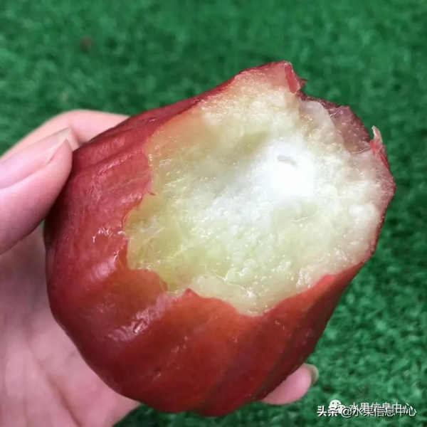網友評選出“最難吃的水果”，你吃過幾種？