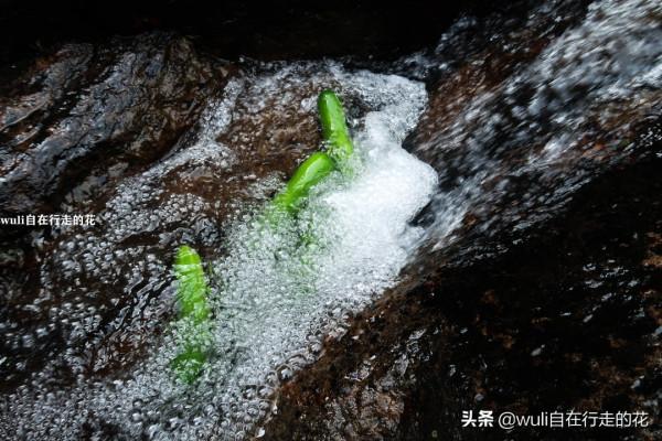 這個秋天,繼續闖蕩福州鼓山,用腳步丈量她的美 | 第63條徒步路線 這個秋天,繼續闖蕩福州鼓山,用腳步丈量她的美 | 第63條徒步路線