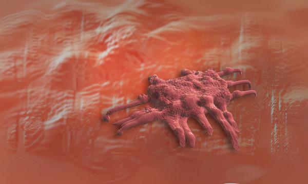 癌症患者極度消瘦？不是癌細胞搶奪營養那麼簡單！如何有效應對？