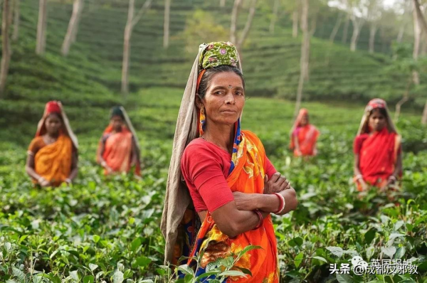 因為一杯奶茶,數千印度女人失去了孩子? 因為一杯奶茶,數千印度女人失去了孩子?