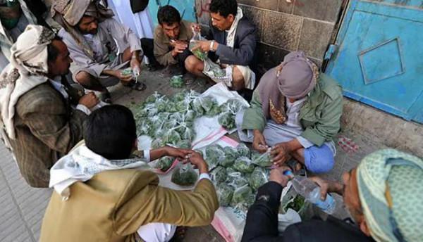 一個幾乎全民嚼食毒品的國家—葉門 一個幾乎全民嚼食毒品的國家—葉門