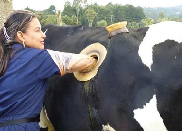 在胃上開個洞,8年完成238次人體實驗,他的苦難成就了全人類 在胃上開個洞,8年完成238次人體實驗,他的苦難成就了全人類