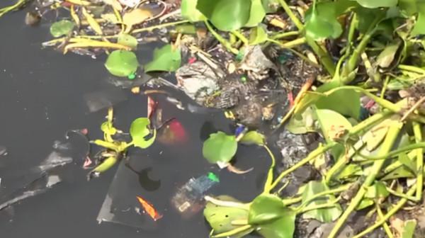 孟加拉國首都變成垃圾廠,生命之後裡沒有一條活魚 孟加拉國首都變成垃圾廠,生命之後裡沒有一條活魚