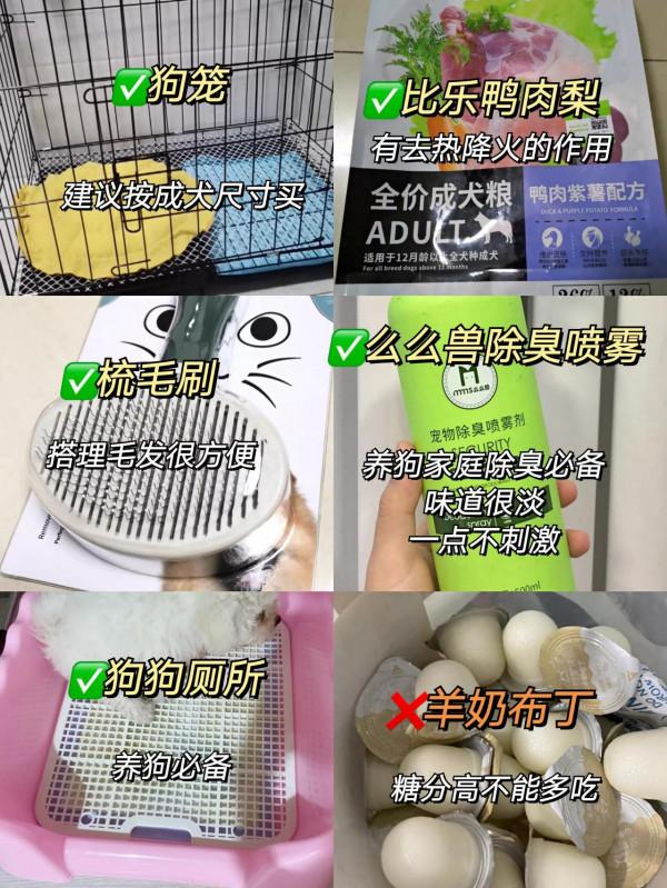 新手養狗一定過避開這些智商稅