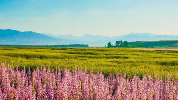 新疆風景最美的10條公路,你心動哪一條? 新疆風景最美的10條公路,你心動哪一條?