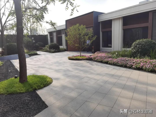 生態地鋪石欣賞