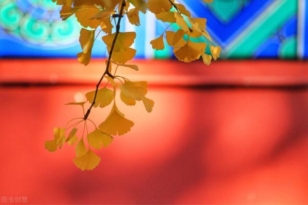 史鐵生《我與地壇》讀後感1:好好活著,好好孝敬父母 史鐵生《我與地壇》讀後感1:好好活著,好好孝敬父母