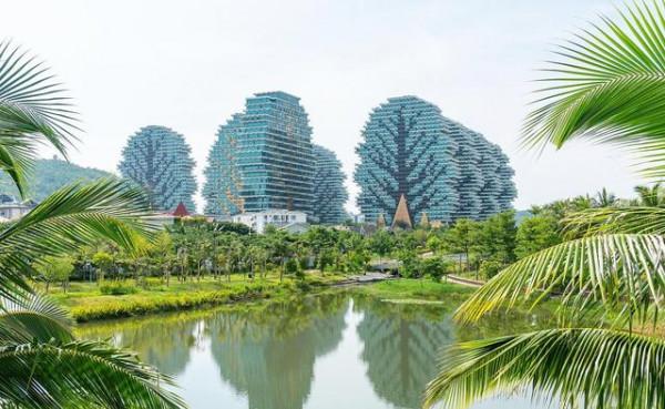 三亞美麗之冠大樹酒店,投資上100億元:住一晚只需要幾十元 三亞美麗之冠大樹酒店,投資上100億元:住一晚只需要幾十元