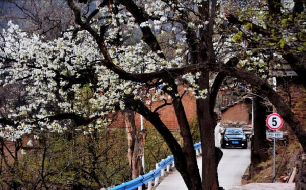 河南、山西交界處，藏著一座絕美古村！不要門票，自駕直達
