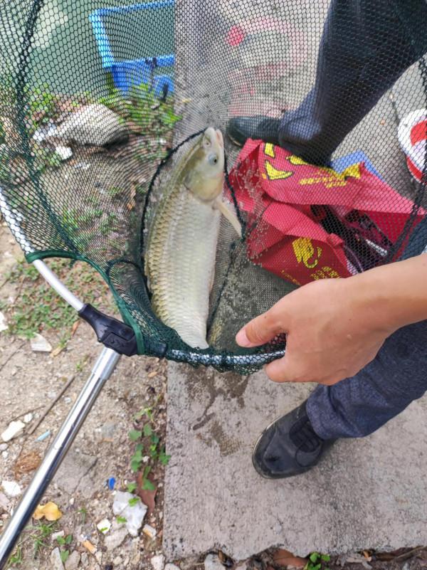 垂釣者,你怎麼看 垂釣者,你怎麼看