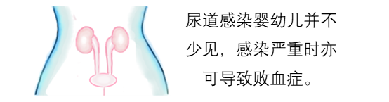 嬰兒餵養事件記錄（一）