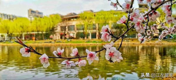 期待春天來了的時候，和你一日看盡長安花