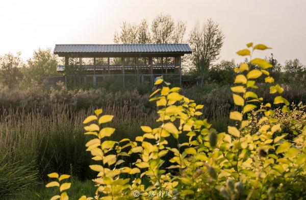 甘肅省適合養老的小城,物價低,不堵車,被稱為“塞上江南” 甘肅省適合養老的小城,物價低,不堵車,被稱為“塞上江南”