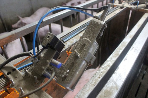 豬場參觀:育肥豬的“電子飼餵站” 豬場參觀:育肥豬的“電子飼餵站”