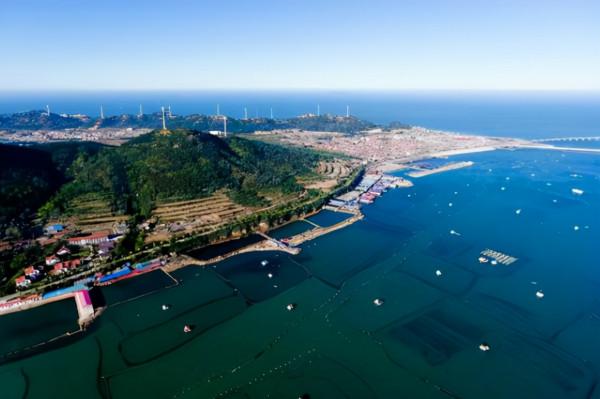 山東學生有福了,當地將迎來一所“新大學”,明年考生有更多選擇 山東學生有福了,當地將迎來一所“新大學”,明年考生有更多選擇