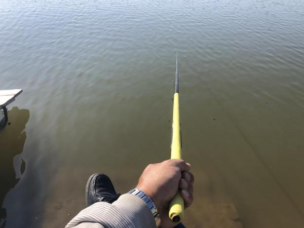 今年的楞巴魚咬口季，我還是溜達釣，這一箱子魚獲真過癮