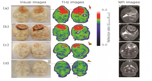 MIT歸國學者攻克國產太赫茲頻段近場顯微系統 MIT歸國學者攻克國產太赫茲頻段近場顯微系統
