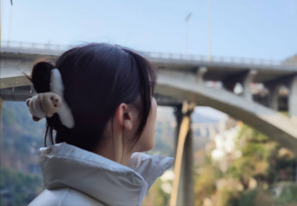 差強人意&mdash;&mdash;小米10至尊紀念版深度使用體驗