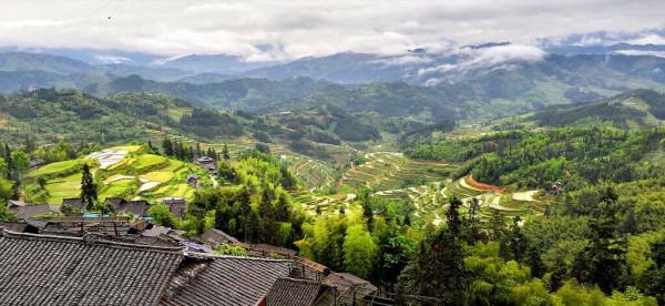 長期待在農村的人才是真正的王者