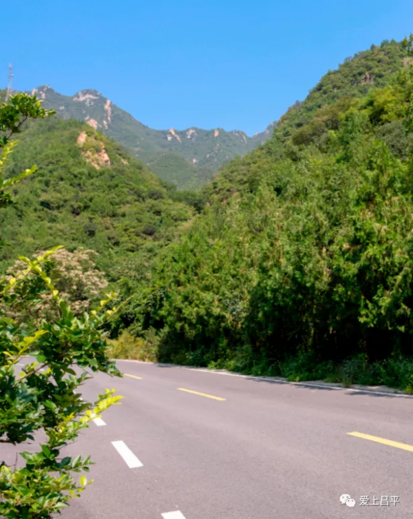 北京有個風景秀美的村莊,溪流疊水,野花遍地,現在去正好 北京有個風景秀美的村莊,溪流疊水,野花遍地,現在去正好