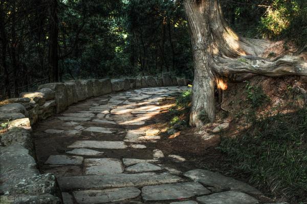 漫步攔馬牆，來一場穿越時空之旅，看金牛古道的前世今生