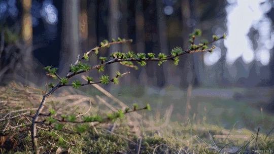 被社會毒打的人 被社會毒打的人